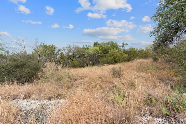 LOTK10066 Bald Eagle, Horseshoe Bay, TX 78657