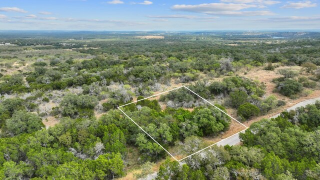 LOTK10066 Bald Eagle, Horseshoe Bay, TX 78657