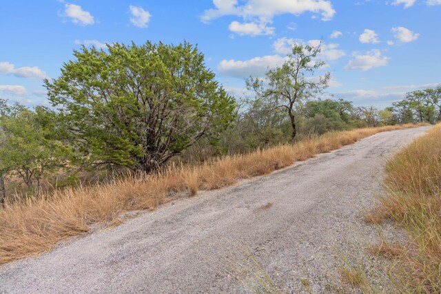 LOTK10066 Bald Eagle, Horseshoe Bay, TX 78657