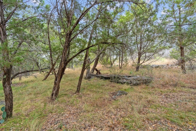 LOTK10066 Bald Eagle, Horseshoe Bay, TX 78657