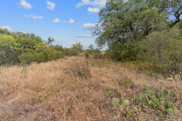 LOTK10066 Bald Eagle, Horseshoe Bay, TX 78657