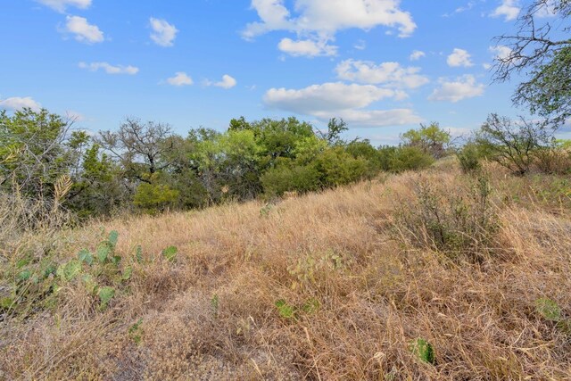 LOTK10066 Bald Eagle, Horseshoe Bay, TX 78657