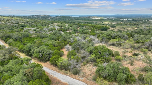 LOTK10066 Bald Eagle, Horseshoe Bay, TX 78657