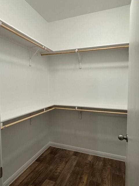 walk in closet with dark hardwood / wood-style flooring