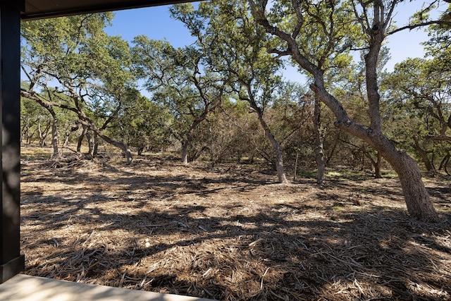 view of landscape