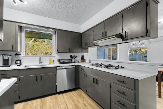 kitchen featuring dishwasher, plenty of natural light, white gas stovetop, and sink