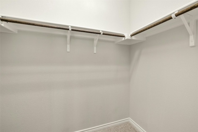 walk in closet featuring carpet flooring