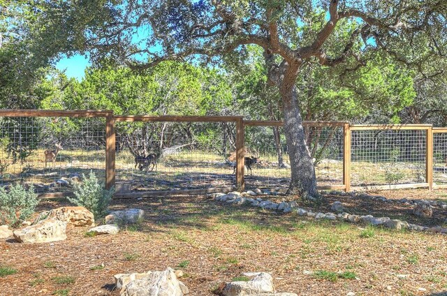 121 Winecup Ln, Spring Branch, TX 78070 - view of yard