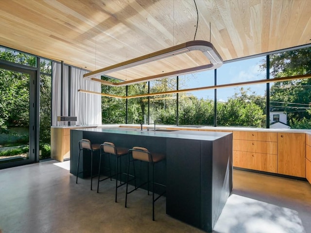 bar featuring wood ceiling, sink, and a wealth of natural light