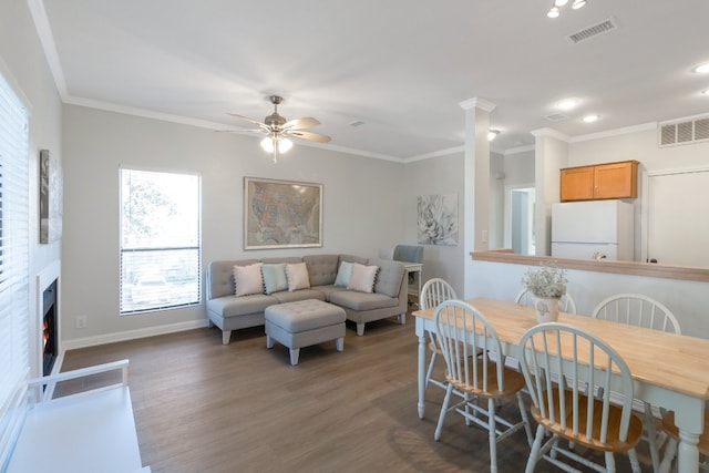 dining area featuring crown molding, ceiling fan, and dark wood-type flooring