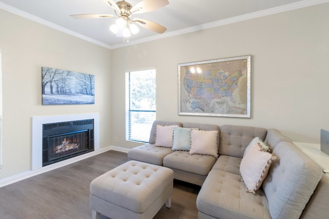 living room with wood-type flooring, ceiling fan, and crown molding