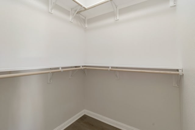 spacious closet featuring wood-type flooring