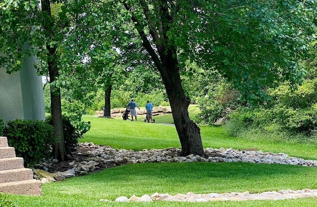 view of property's community featuring a yard