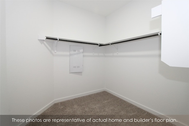 walk in closet featuring carpet floors