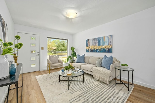 living room featuring hardwood / wood-style floors