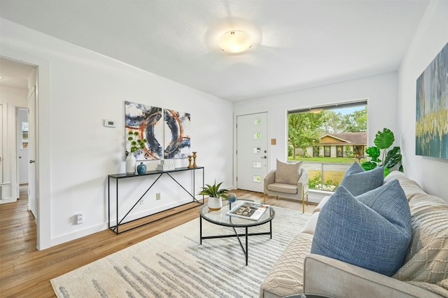 living room with hardwood / wood-style flooring