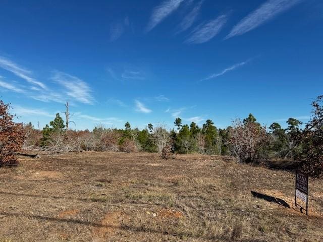 TBD River Forest Dr, Bastrop TX, 78602 land for sale