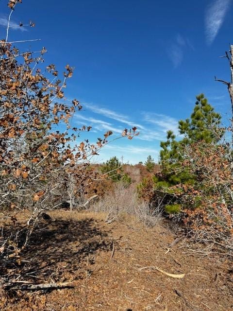 Listing photo 3 for TBD River Forest Dr, Bastrop TX 78602