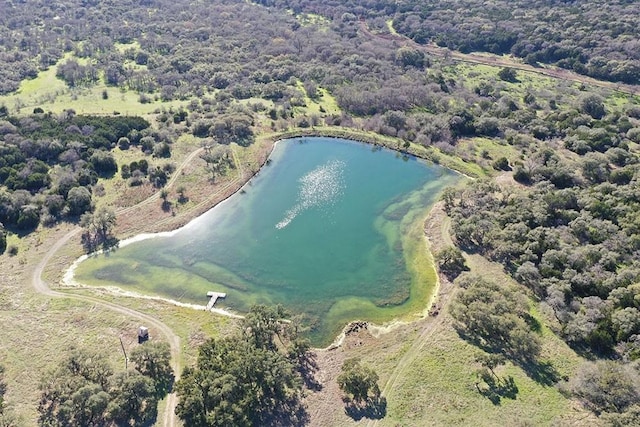 drone / aerial view of a large body of water and a heavily wooded area