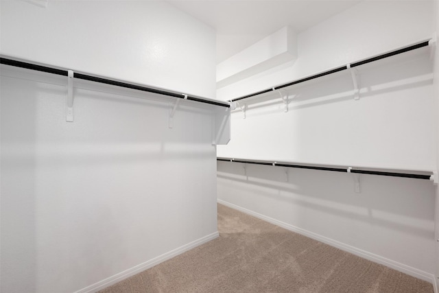 walk in closet with light colored carpet