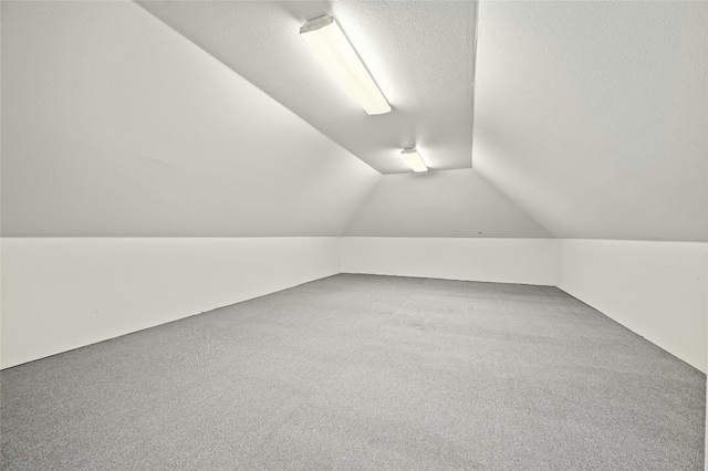 additional living space with carpet, a textured ceiling, and vaulted ceiling