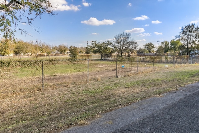 view of yard with a rural view