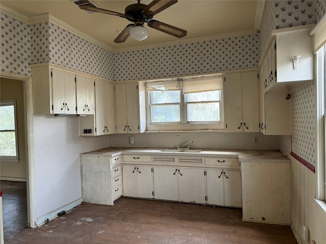 kitchen with crown molding, sink, ceiling fan, and dark wood-type flooring