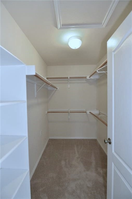 walk in closet with dark carpet