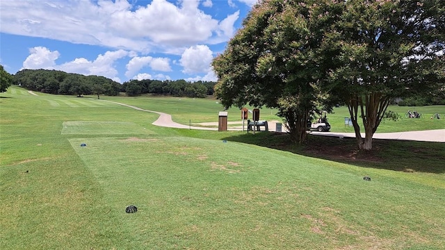 view of community with a lawn