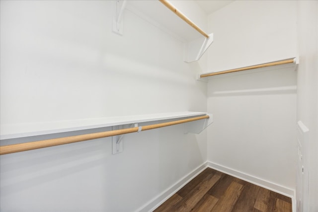 walk in closet with dark wood-type flooring