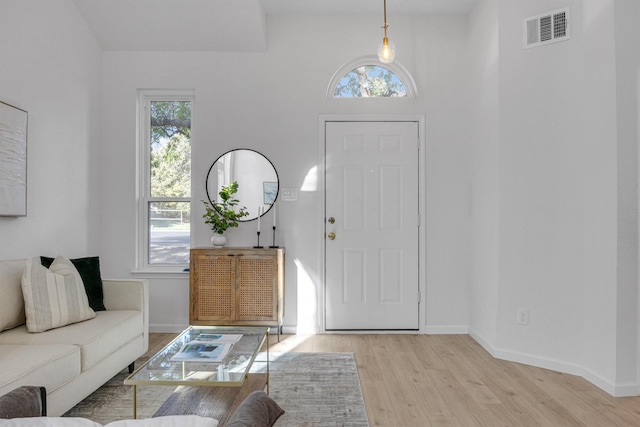 foyer entrance with light hardwood / wood-style flooring