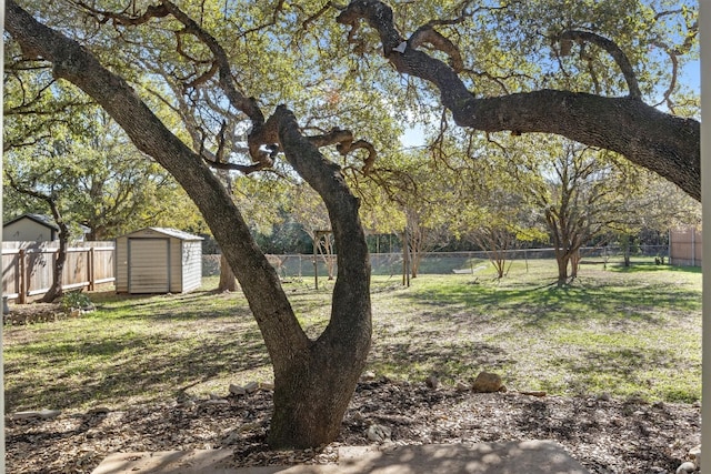 view of yard with a shed