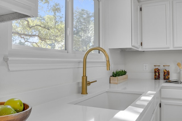 room details featuring sink and white cabinets