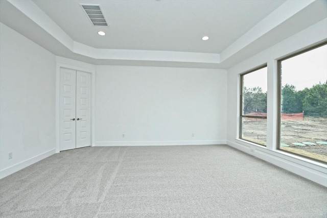 carpeted empty room with a wealth of natural light and a raised ceiling