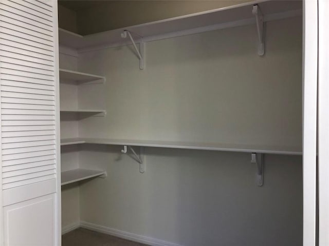 3704 Bunyan Cir, Lago Vista, TX 78645 - view of spacious closet
