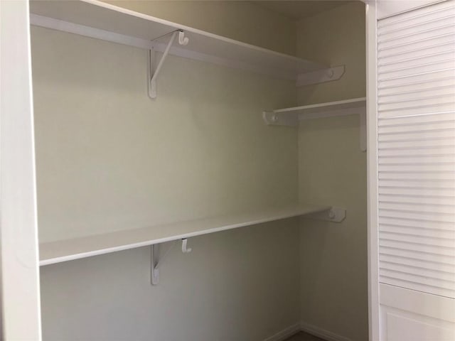 3704 Bunyan Cir, Lago Vista, TX 78645 - view of spacious closet