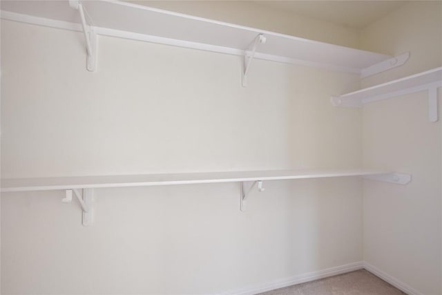 3704 Bunyan Cir, Lago Vista, TX 78645 - walk in closet with carpet flooring