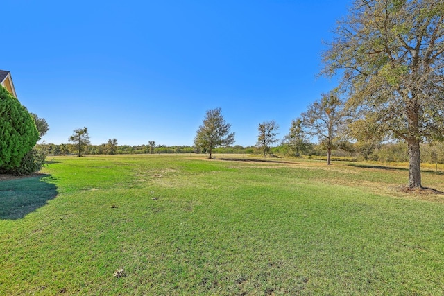 view of yard featuring a rural view