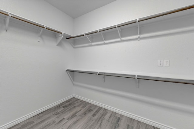 spacious closet featuring hardwood / wood-style flooring