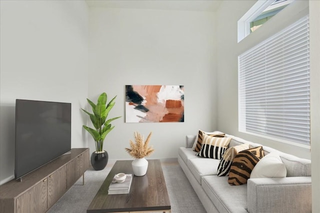 8922 Menchaca Rd Unit 906, Austin, TX 78748 - view of carpeted living room