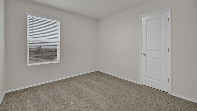 spare room with carpet