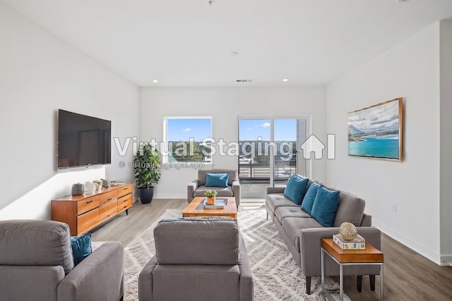 living room featuring hardwood / wood-style flooring