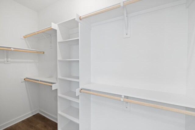 spacious closet featuring dark wood-type flooring