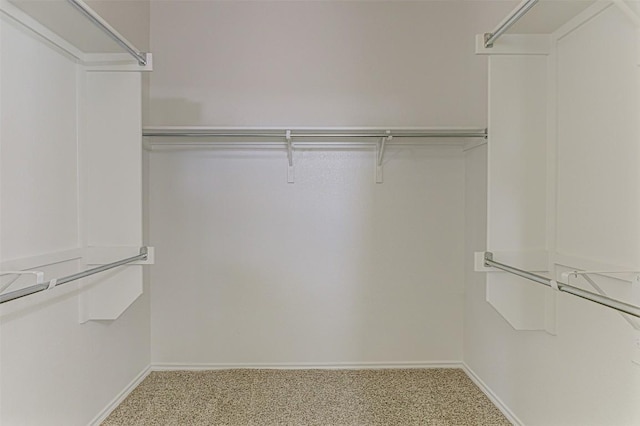 401 Bonham Loop, Georgetown, TX 78633 - walk in closet with carpet flooring