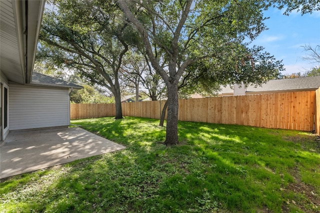 view of yard featuring a patio area