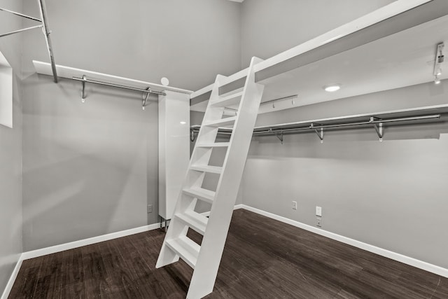 spacious closet featuring wood-type flooring