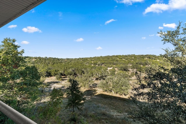 21200 Bertram Ln, Spicewood, TX 78669 - view of wooded area