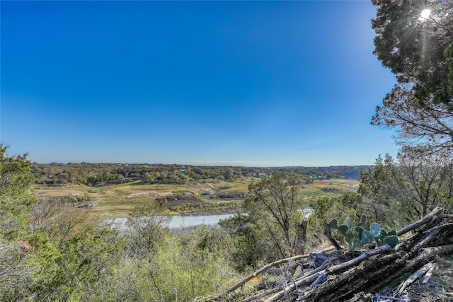 Listing photo 3 for LOT17 Pedernales Point Dr, Spicewood TX 78669