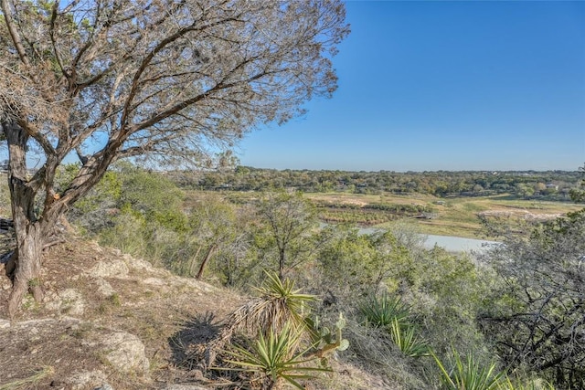 LOT17 Pedernales Point Dr, Spicewood, TX 78669 - photo 1