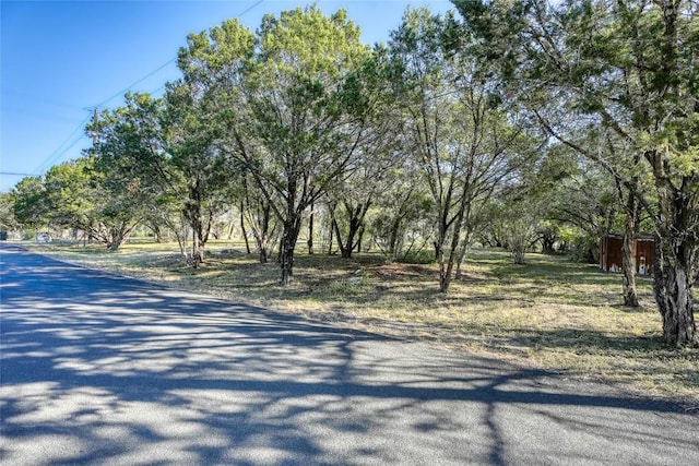 LOT17 Pedernales Point Dr, Spicewood, TX 78669 - photo 4